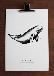 anna nilsson, illustration, skolplanch, grafisk design, annagrafiskform