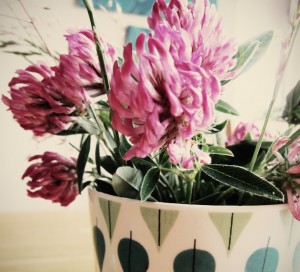 sommar, blomster, bild, annagrafiskform