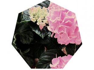 spring3