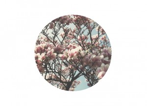 Sommar, grafik, grafisk design, anna nilsson, malmö